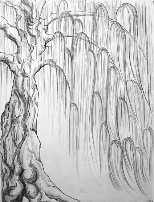 Mary Ann and the Tree By the River - Tree Study